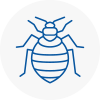 Bed Bug Extermination In Culcheth